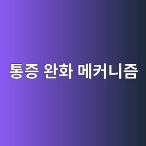 ed86b5eca69d ec9984ed9994 eba994ecbba4eb8b88eca698 1787062225