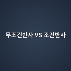 ebacb4eca1b0eab1b4ebb098ec82ac vs eca1b0eab1b4ebb098ec82ac 1788578624